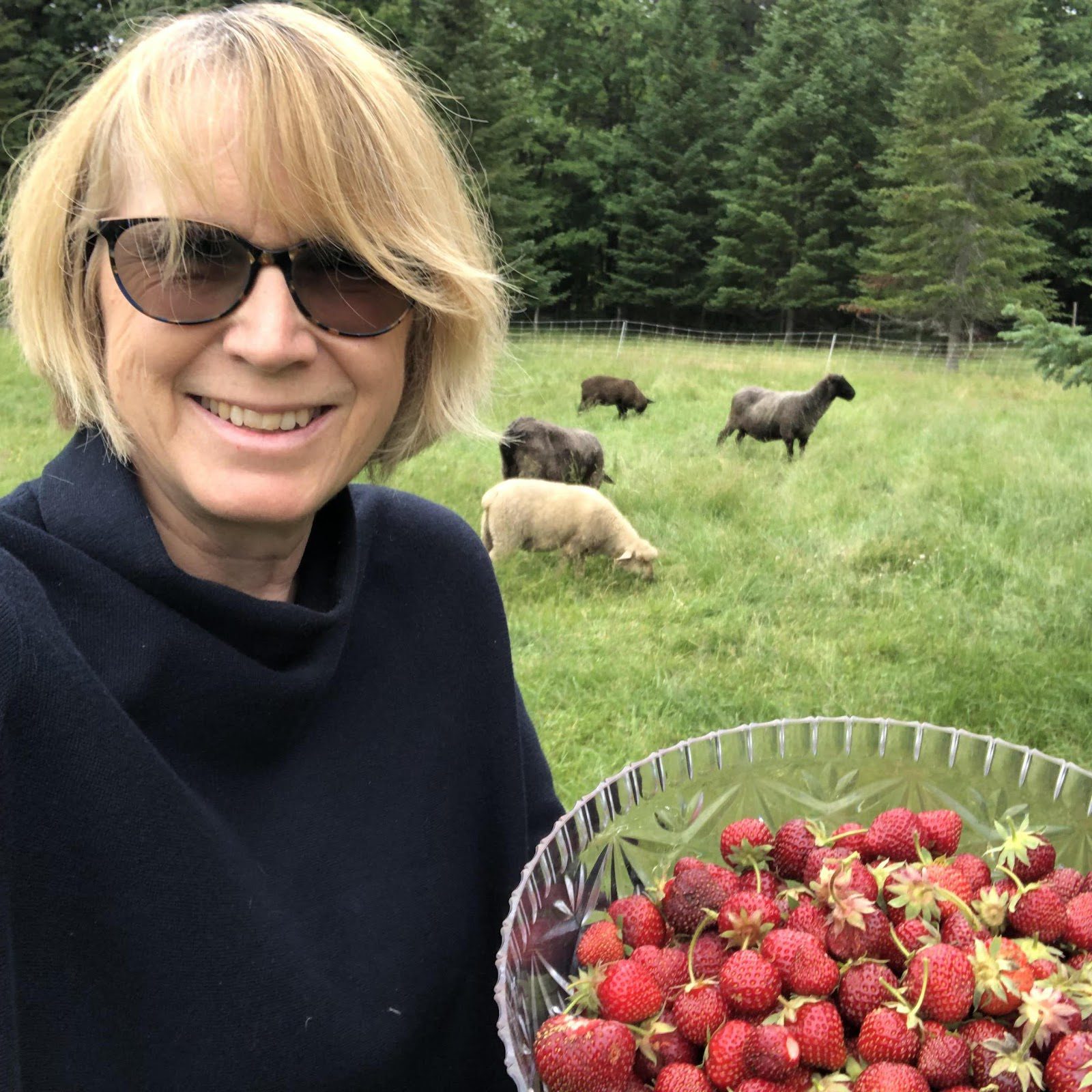 A person holding a bowl of strawberries

Description automatically generated